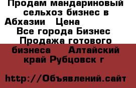 Продам мандариновый сельхоз-бизнес в Абхазии › Цена ­ 1 000 000 - Все города Бизнес » Продажа готового бизнеса   . Алтайский край,Рубцовск г.